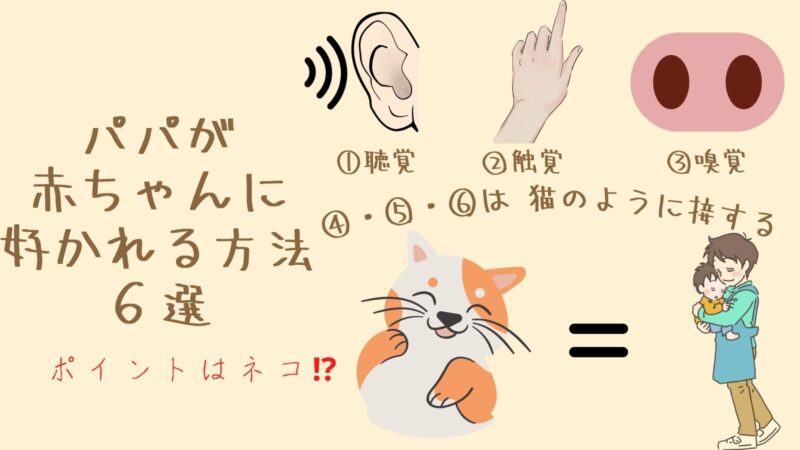 男性保育者直伝 後追いにも効果あり 父親が赤ちゃんに好かれる方法６選 子育て オールインワン ブログ