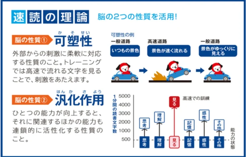 速読の理論